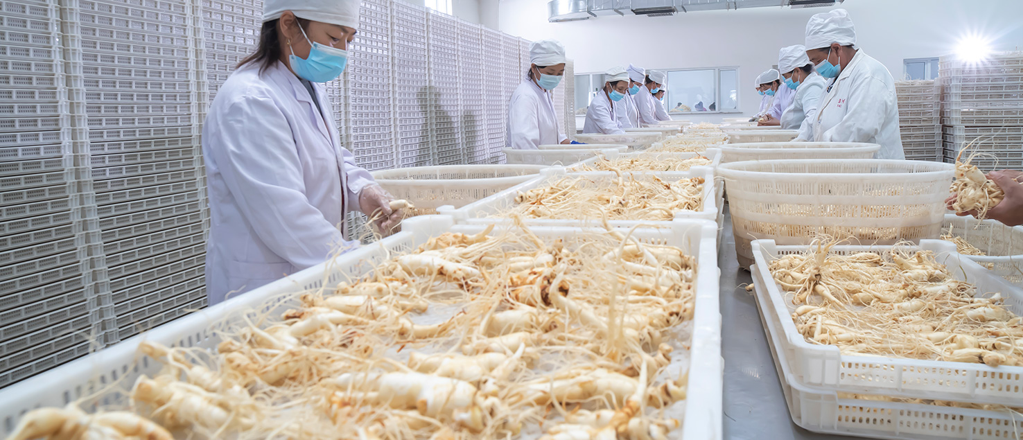 炳華價(jià)值觀